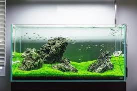 AquaClear AC50 Power Filter - Hình 2